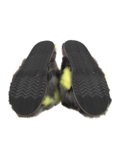 Sorel Printed Slides