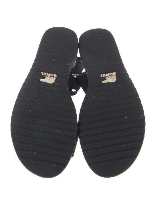 Sorel Leather Sandals