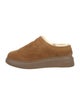 Suzanne Rae Suede Sneakers