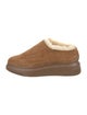 Suzanne Rae Suede Sneakers