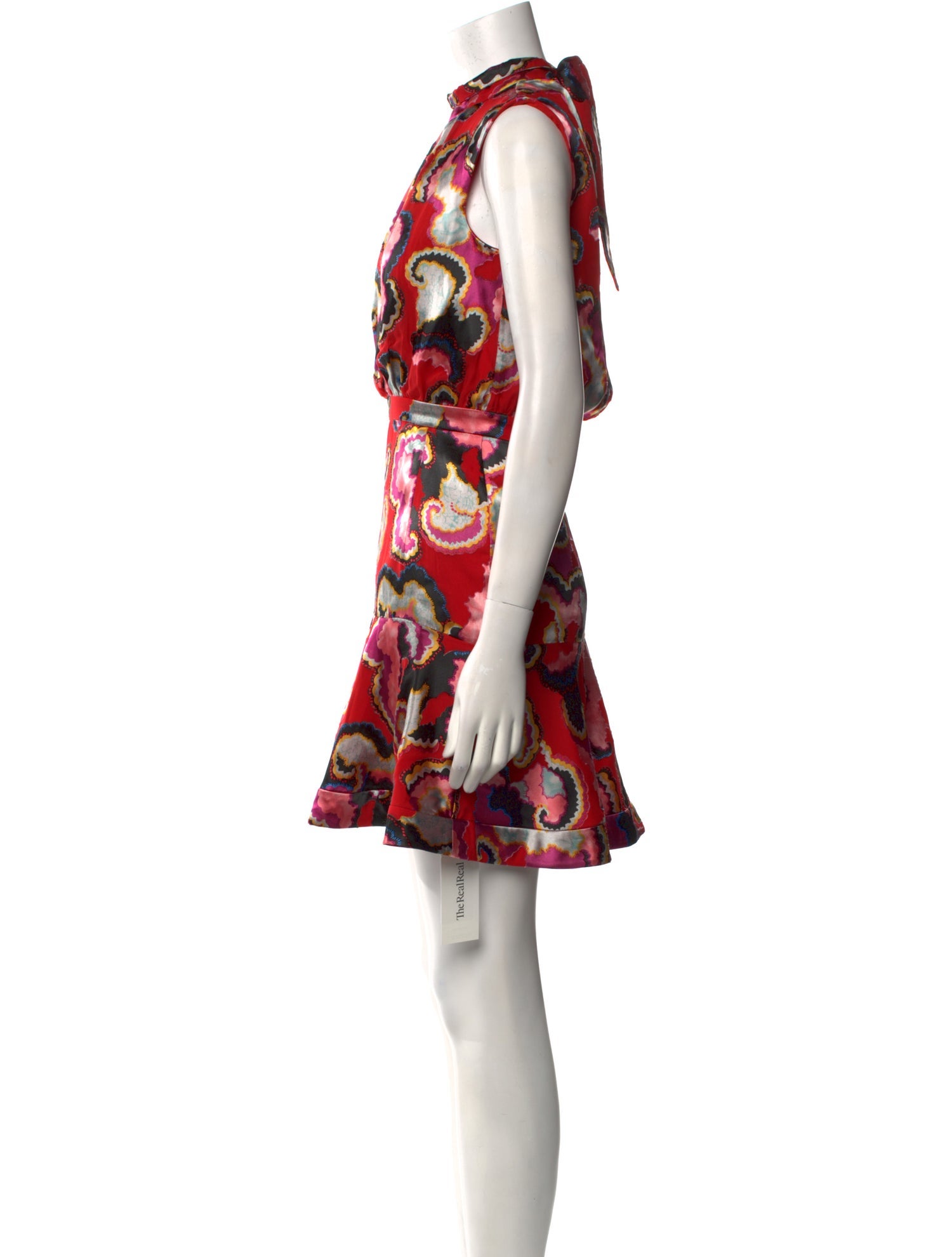 Saloni Printed Mini Dress