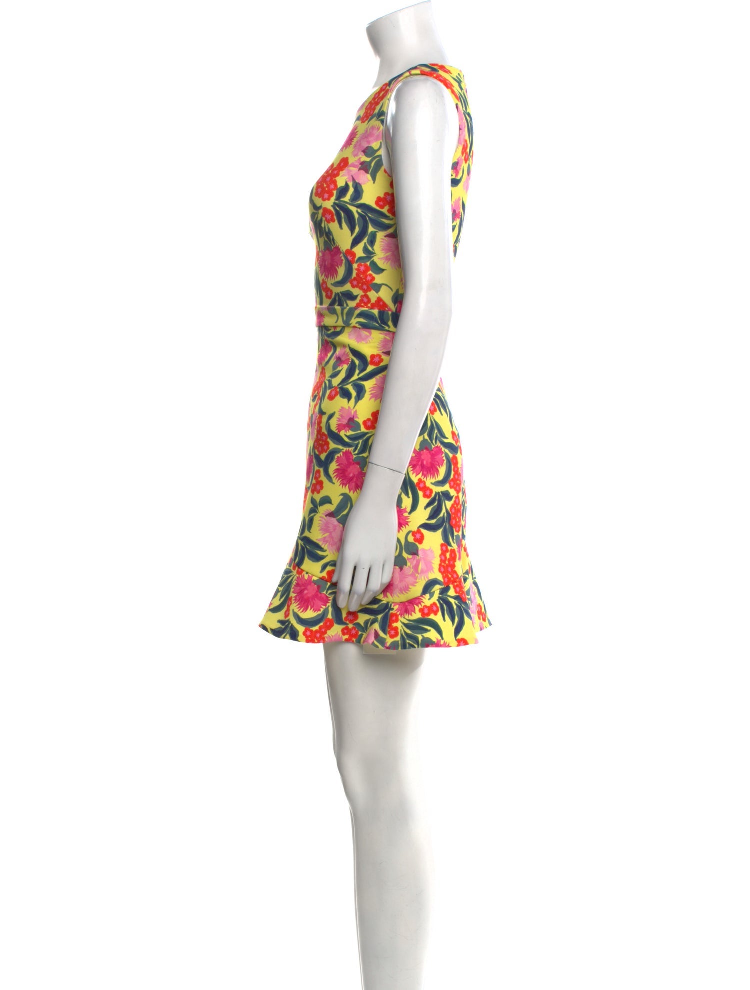 Saloni Floral Print Mini Dress