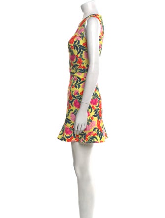 Saloni Floral Print Mini Dress