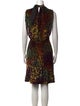 Saloni Printed Knee-Length Dress