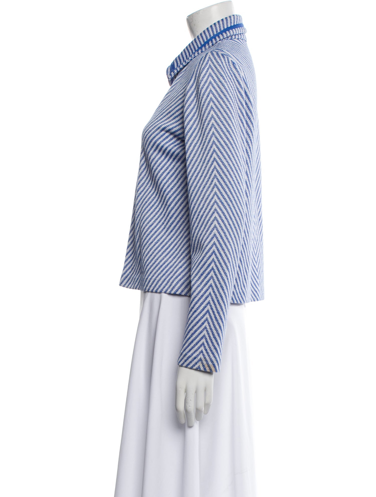 St. John Sport Striped Jacket