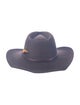 Stetson wool hat