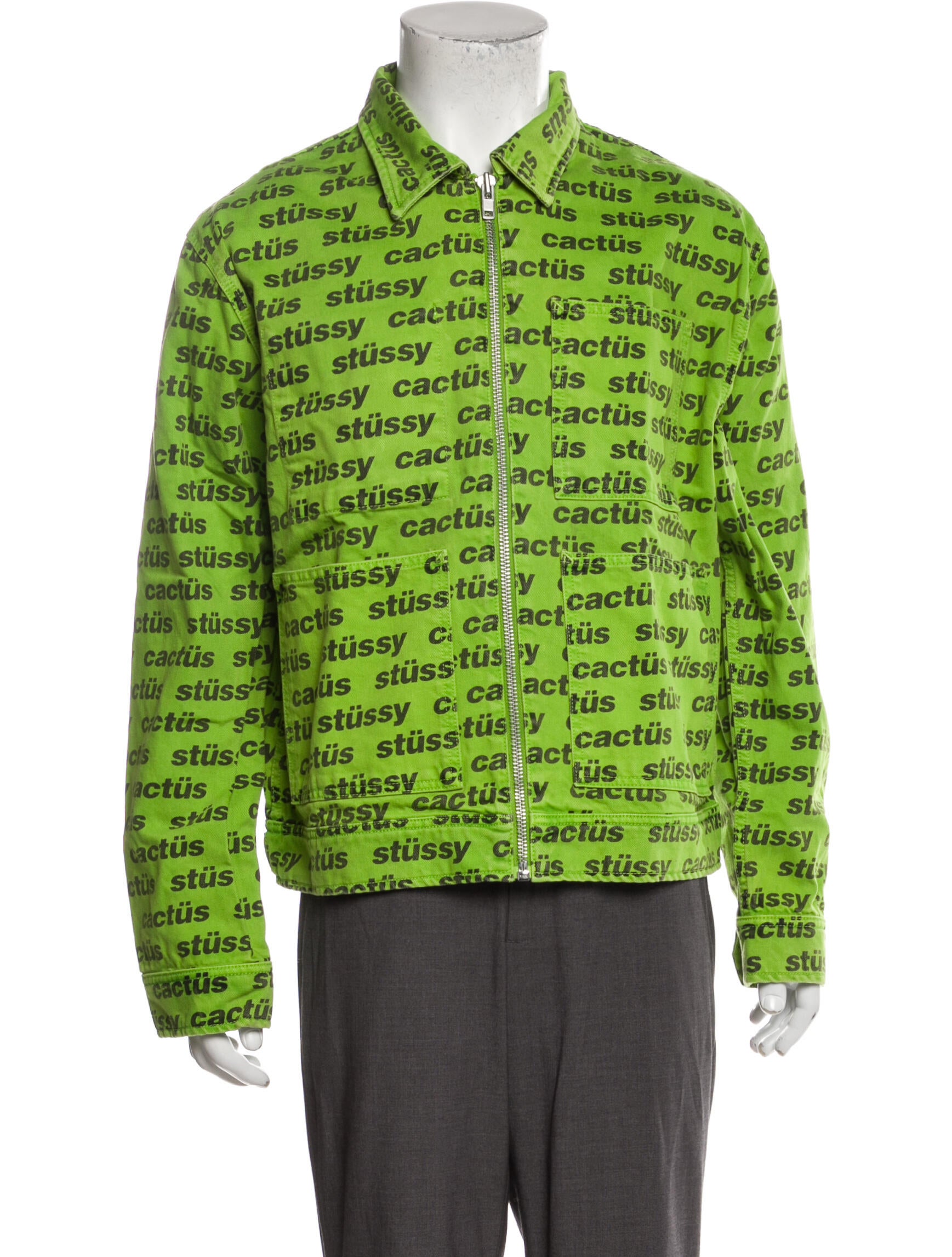 stussy x cactus plant