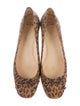 Stuart Weitzman Suede Leopard Print Flats