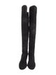 Stuart Weitzman Suede Boots
