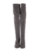 Stuart Weitzman Suede Boots