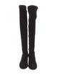 Stuart Weitzman Suede Boots
