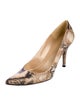 Stuart Weitzman Leather Animal Print Pumps