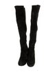 Stuart Weitzman Suede Boots