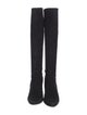 Stuart Weitzman Suede Boots