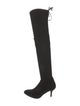Stuart Weitzman Suede Boots