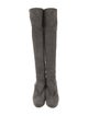 Stuart Weitzman Suede Boots