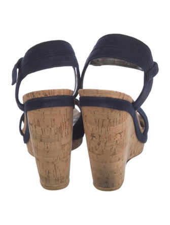 Stuart Weitzman Suede Espadrilles