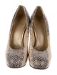 Stuart Weitzman Embossed Leather Animal Print Pumps