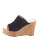 Stuart Weitzman Suede Slides