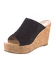Stuart Weitzman Suede Slides