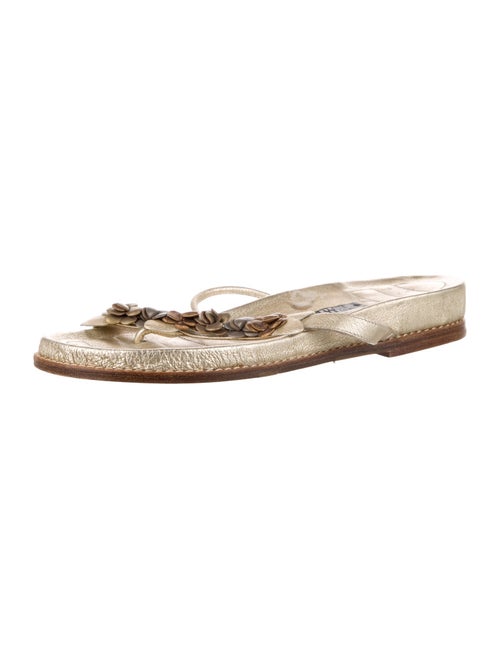 Stuart Weitzman Leather Floral Print Espadrilles
