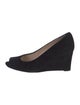 Stuart Weitzman Suede Pumps