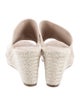 Stuart Weitzman Suede Espadrilles
