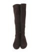 Stuart Weitzman Suede Boots