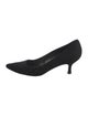 Stuart Weitzman Pumps