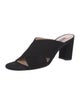 Stuart Weitzman Suede Slides