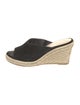 Stuart Weitzman Suede Espadrilles