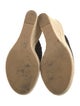 Stuart Weitzman Suede Espadrilles