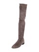 Stuart Weitzman Suede Boots