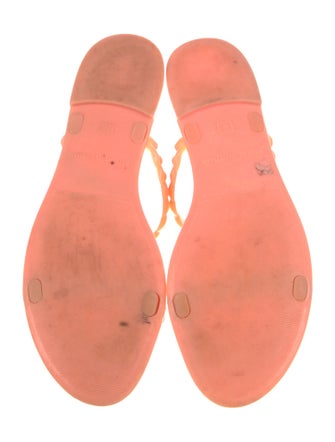 Stuart Weitzman Rubber Slides