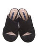 Stuart Weitzman Suede Slides