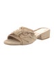 Stuart Weitzman Suede Slides