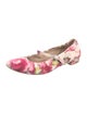 Stuart Weitzman Floral Print Ballet Flats