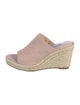 Stuart Weitzman Suede Braided Accents Espadrilles