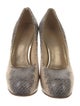 Stuart Weitzman Snakeskin Animal Print Pumps
