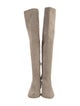 Stuart Weitzman Suede Boots