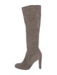 Stuart Weitzman Suede Boots