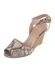 Stuart Weitzman Snakeskin Animal Print Espadrilles