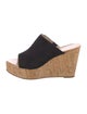 Stuart Weitzman Suede Mules