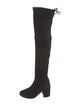 Stuart Weitzman Suede Boots