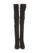 Stuart Weitzman Suede Boots