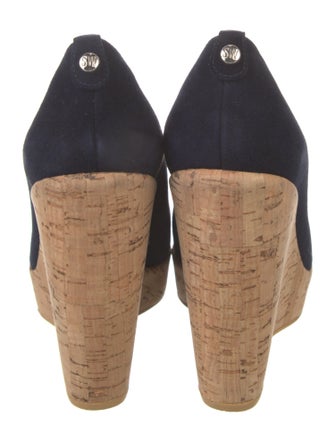 Stuart Weitzman Suede Pumps