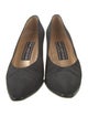 Stuart Weitzman Suede Pumps