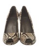 Stuart Weitzman Snakeskin Animal Print Pumps