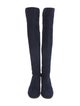 Stuart Weitzman Suede Boots