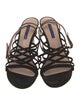 Stuart Weitzman Suede Sandals